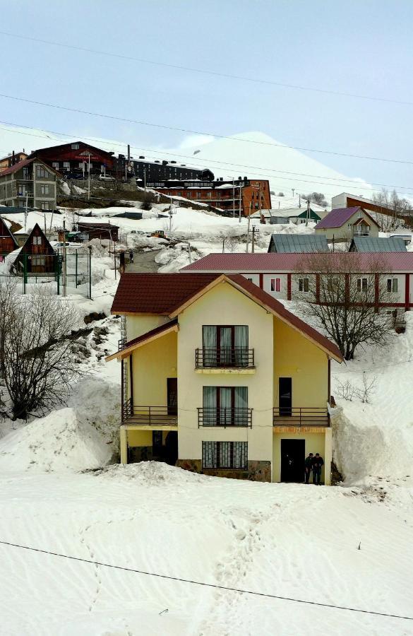 Gudauri Guest House Lane Dış mekan fotoğraf